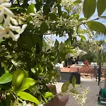 Provençale 4 étoiles - Piscine&jardin Zen *