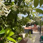 Provençale 4 étoiles - Piscine&jardin Zen